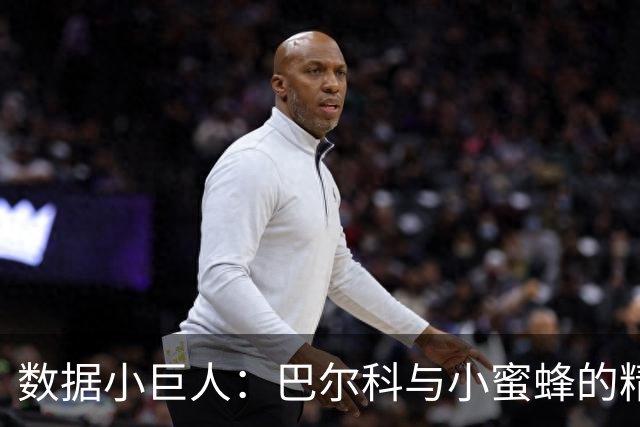 数据小巨人：巴尔科与小蜜蜂的精彩对决